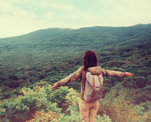 shutterstock_253828555_mini